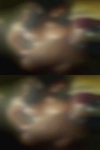 Lesbians fuck